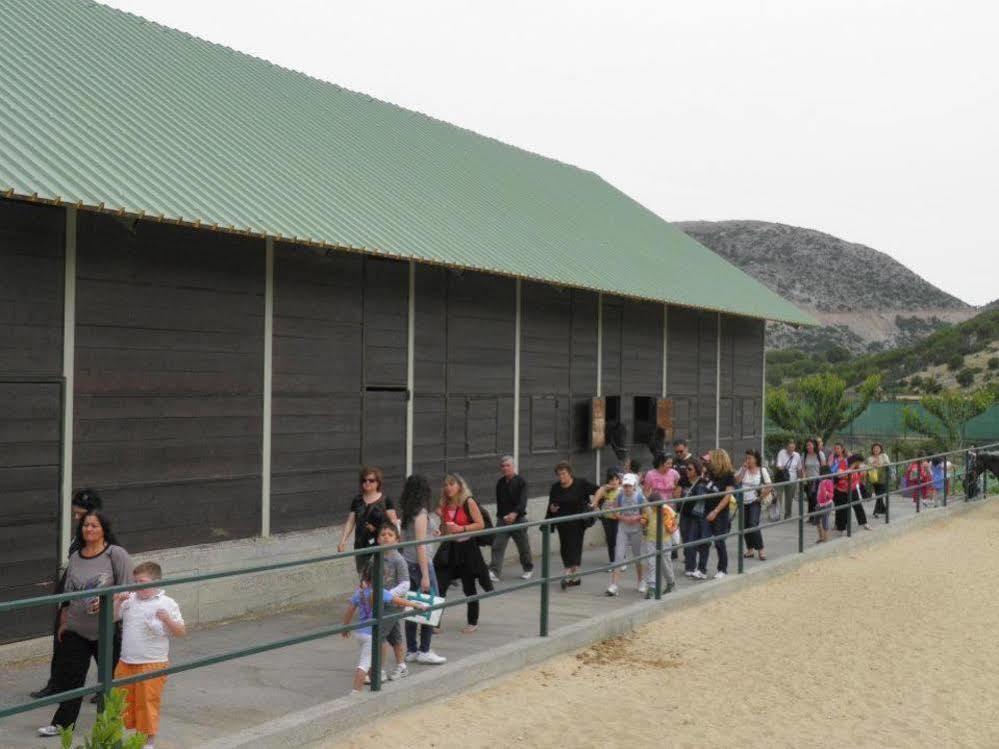 Lefkoritis Resort Askifou Sfakia Petrés Buitenkant foto