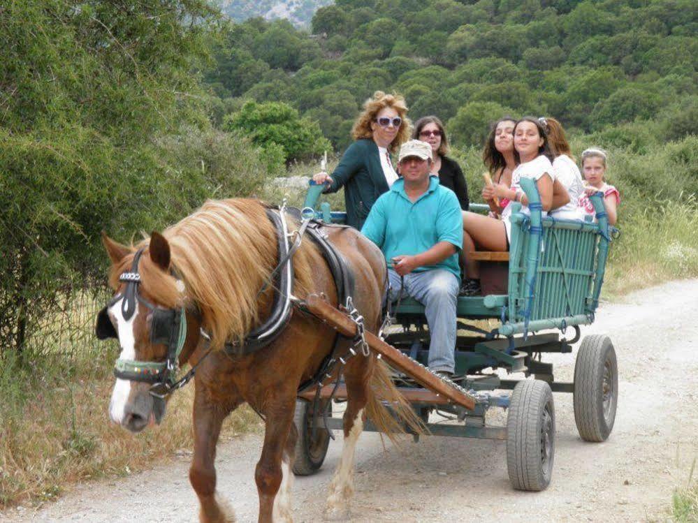 Lefkoritis Resort Askifou Sfakia Petrés Buitenkant foto